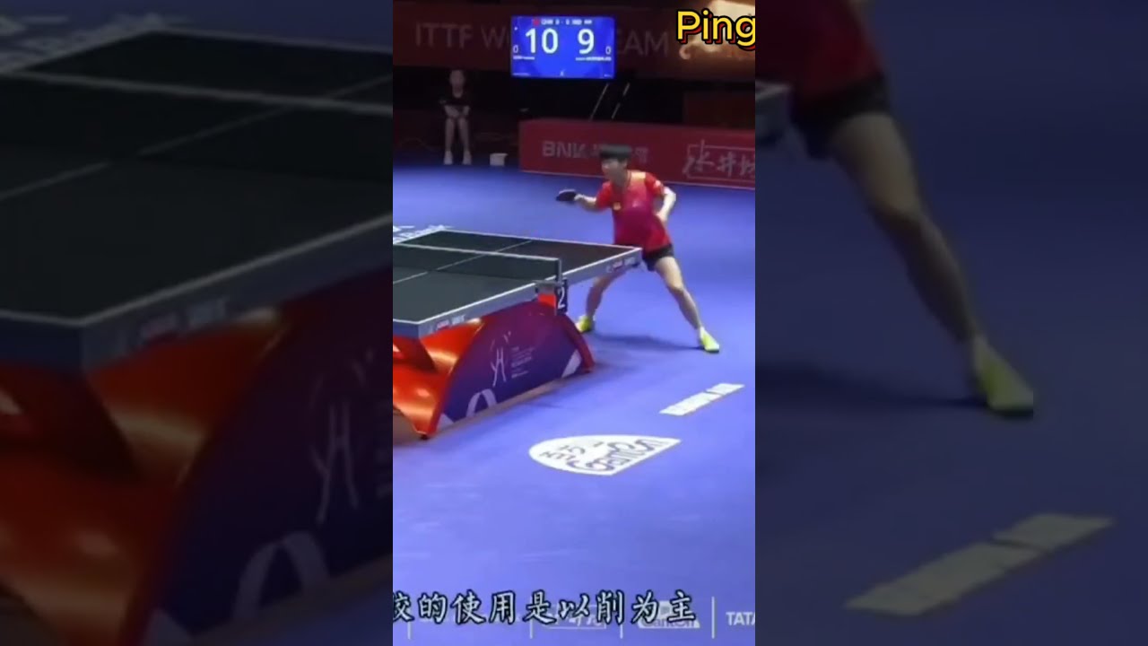 体验